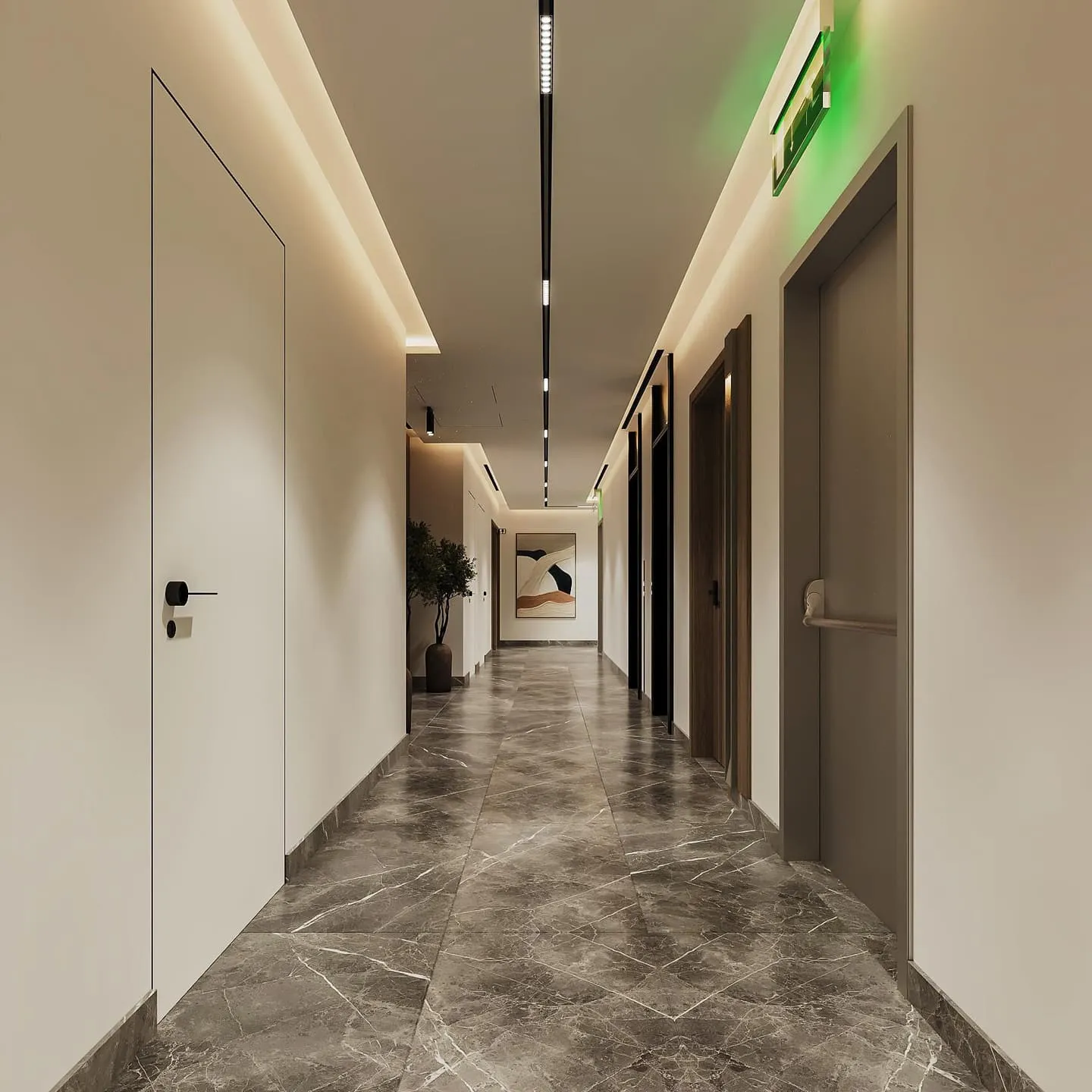 A residential corridor, indoor planting against the wall and downlights along the ceiling