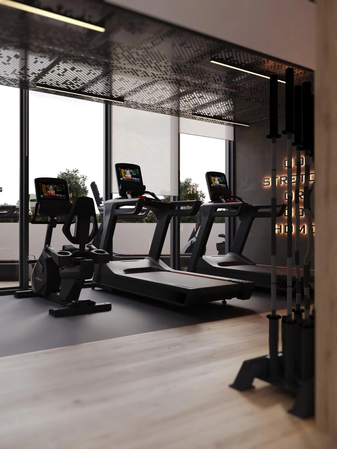 Treadmills and an exercise bike facing a full height window, black frames and a plant at the end of the row