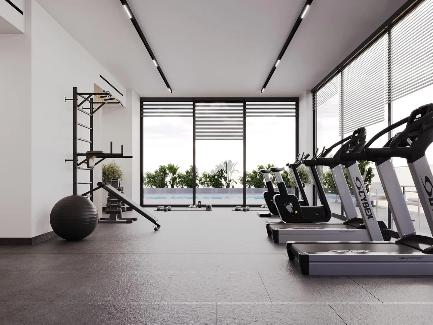 The gym, cardio machines and free weights along a wall of glass
