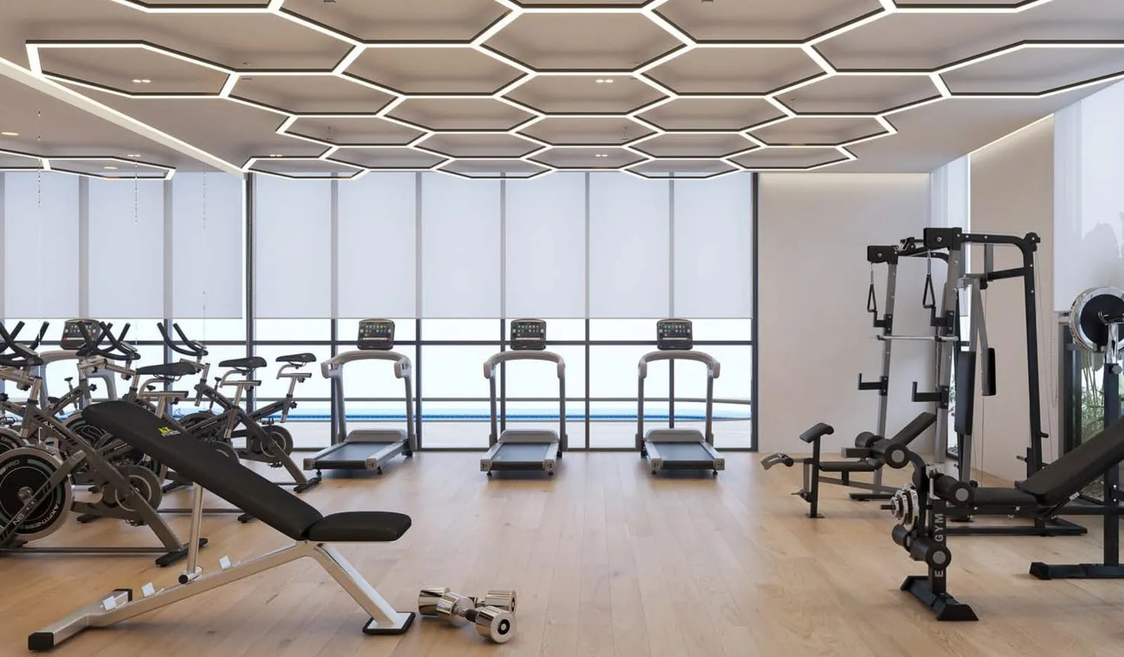 Fully equipped gym with a row of treadmills facing floor-to-ceiling windows