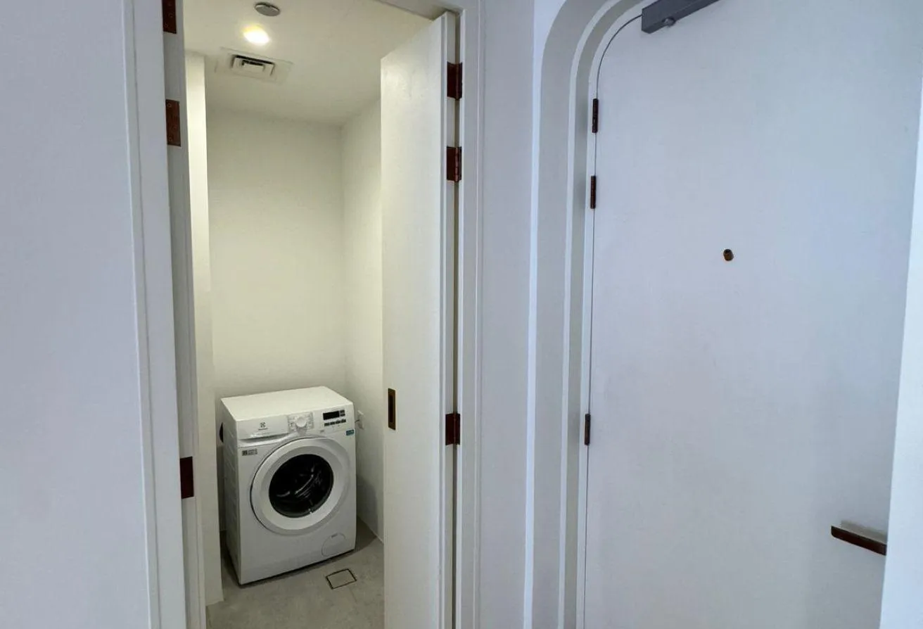 Photo of a cupboard holding a washing machine